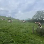 Am Kapellenhof * Triberg im Schwarzwald