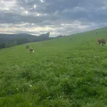 Am Kapellenhof Casa de Férias *