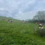 Am Kapellenhof Triberg im Schwarzwald