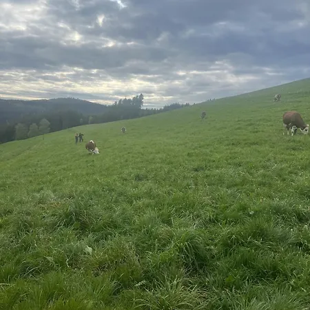 Am Kapellenhof Triberg im Schwarzwald