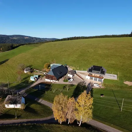 Am Kapellenhof * Triberg im Schwarzwald