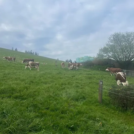 Am Kapellenhof Triberg im Schwarzwald